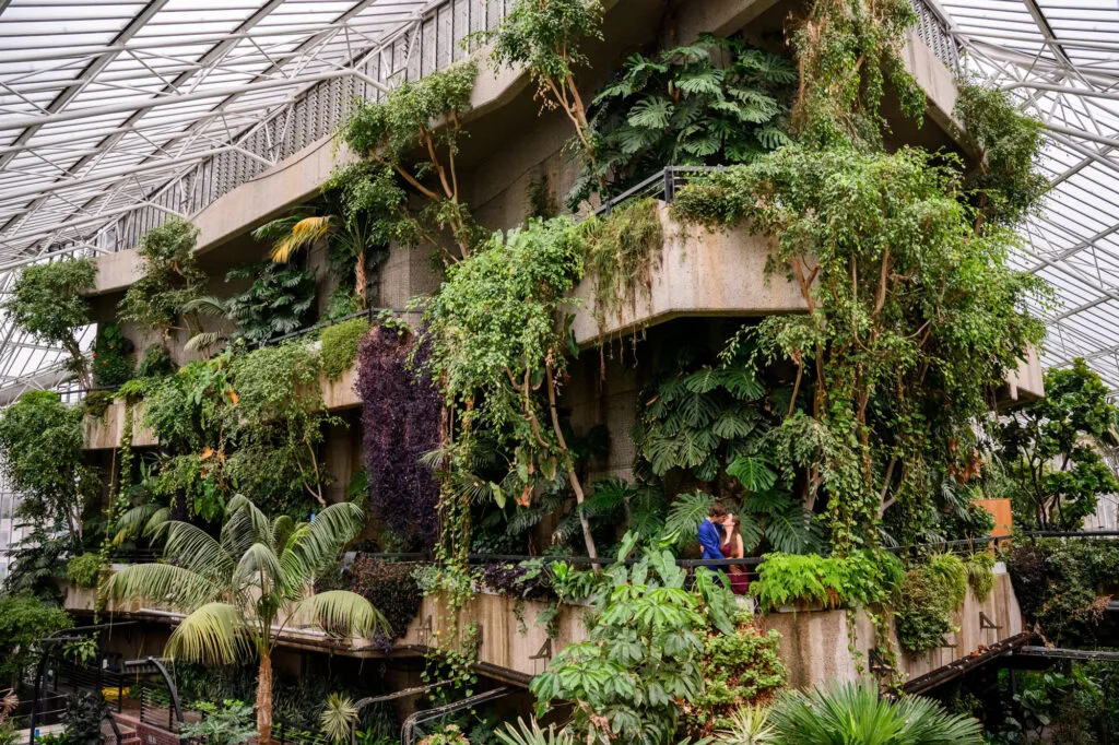 Wedding couple kissing inside The Barbican Conservatory